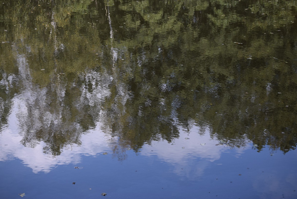 Leśne klimaty, ZWYKŁE I NIEZWYKŁE