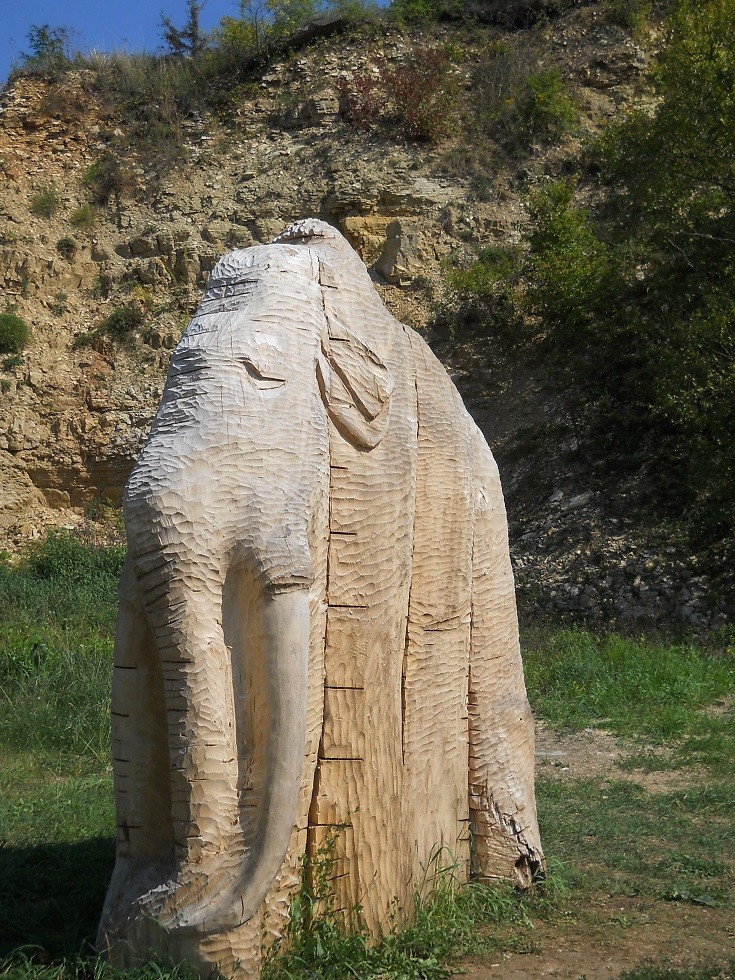 Pozostałe, Uroczysko. Fotoreportaż :) - Nieco senny, ale w całej swej okazałości imć pan Mamut:)