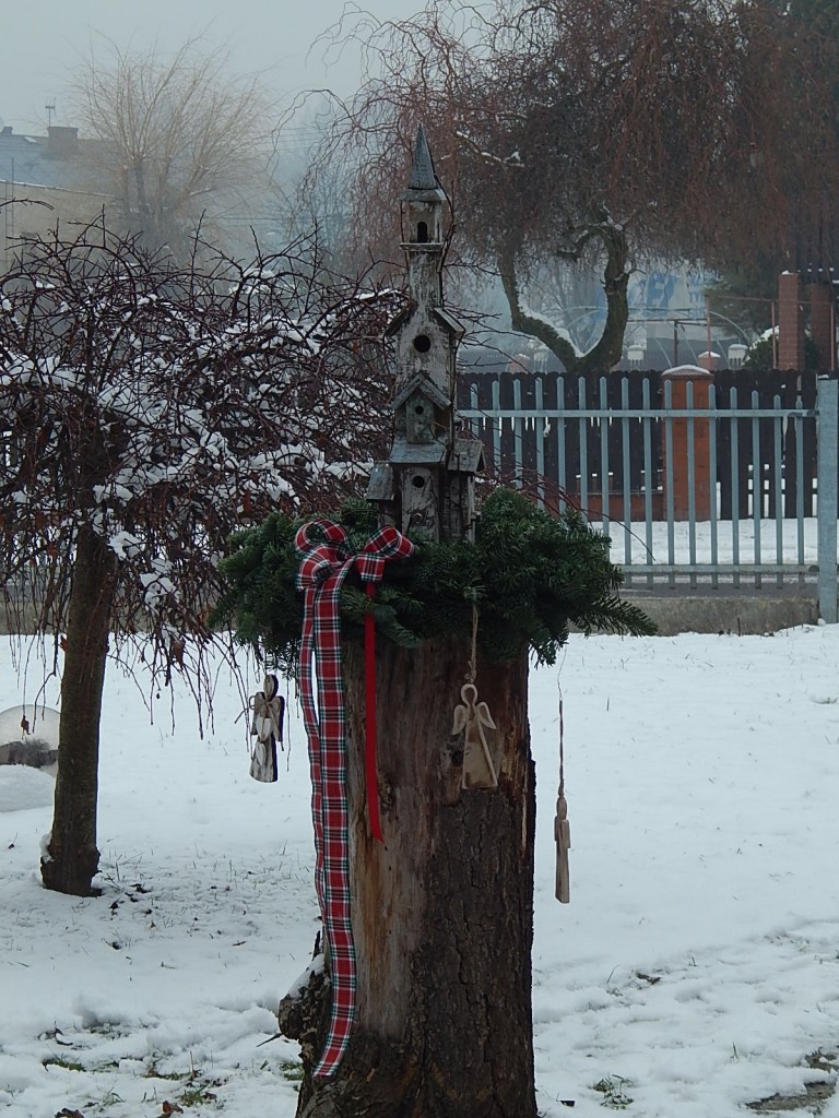 Ogród, ADWENTOWE OPOWIEŚCI :)