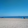 Rośliny, Lipiec...................... - ..................i plaża..................