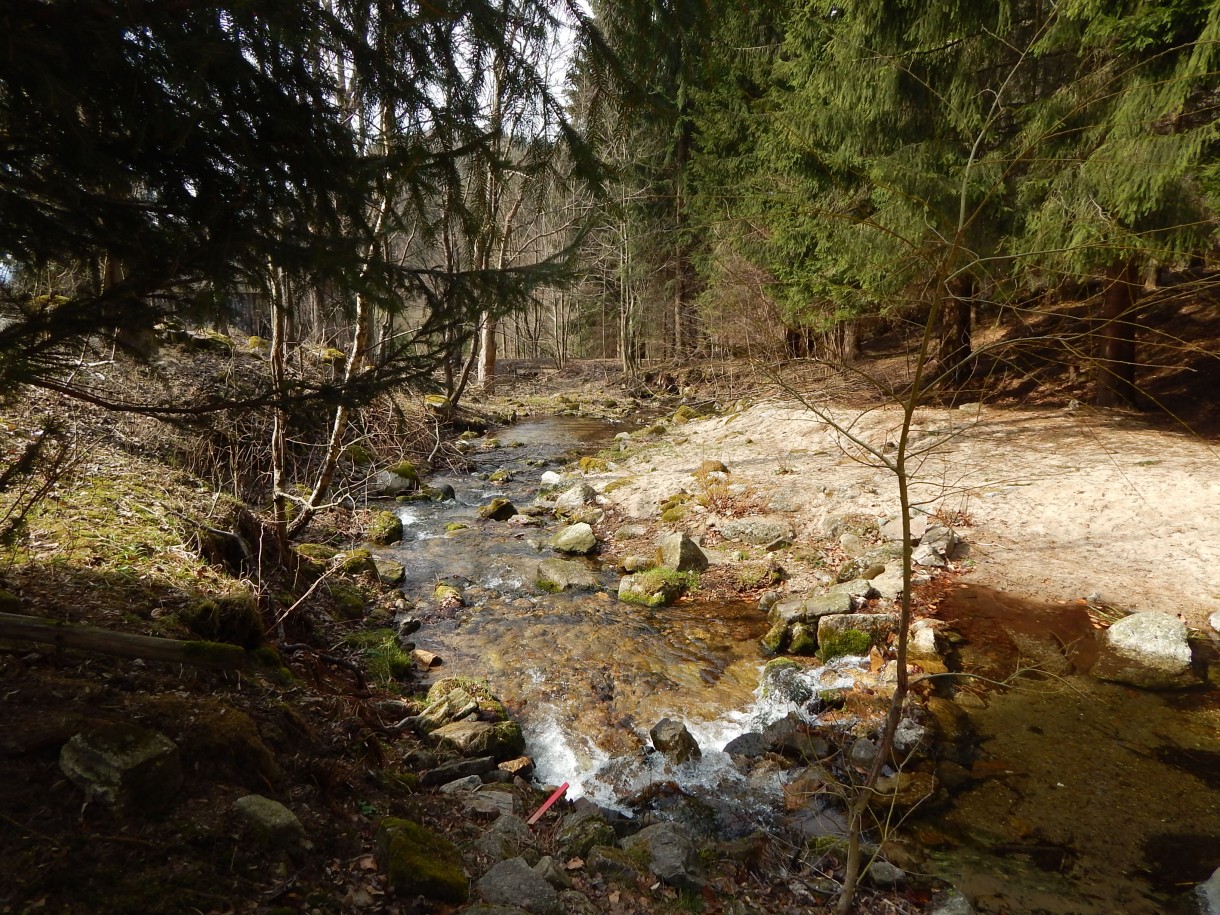 Leśne klimaty, ODDYCHAM CISZĄ...