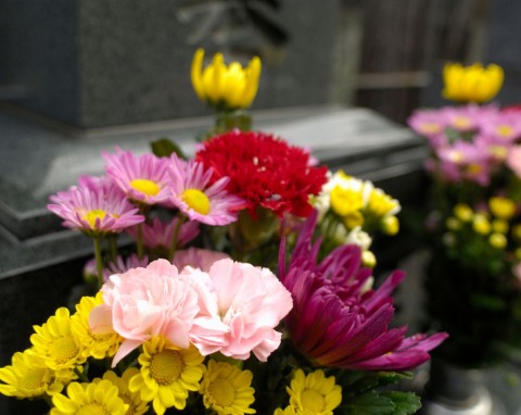 Co dosypać do wazonu na cmentarzu, by kwiaty cięte wytrzymały dłużej?
