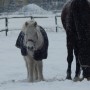 Leśne klimaty, OTULĘ CIĘ  :)