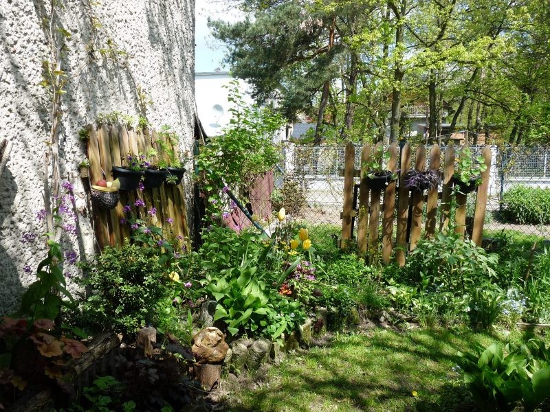Ogród, Majowy ogród - kącik za altanką