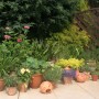 Pozostałe, LATO w moim ogrodzie i na tarasie - to mój ogród ziołowy i nie tylko :) część tarasu bez daszku