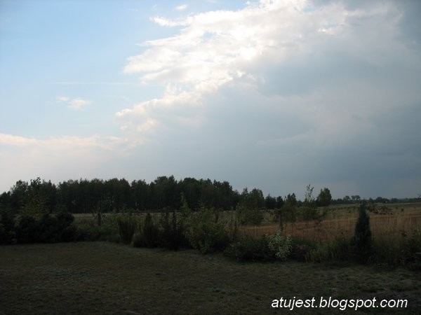 Rośliny, Ogród - Przed burzą.