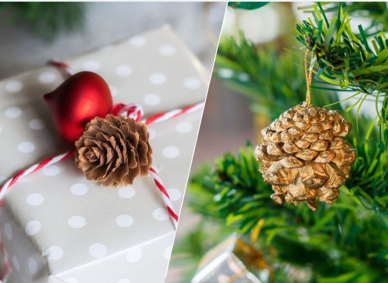 Szyszkami można udekorować choinkę lub zapakowane prezenty.