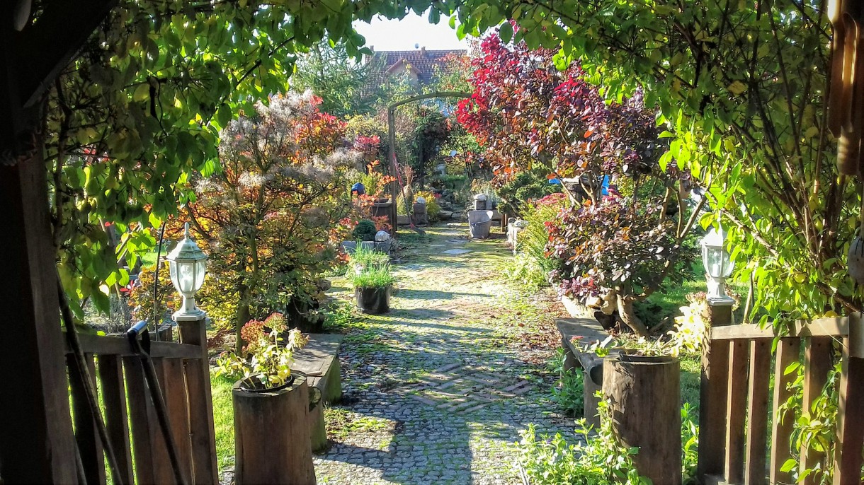 Ogród, Wyjątkowy dom w ogrodzie