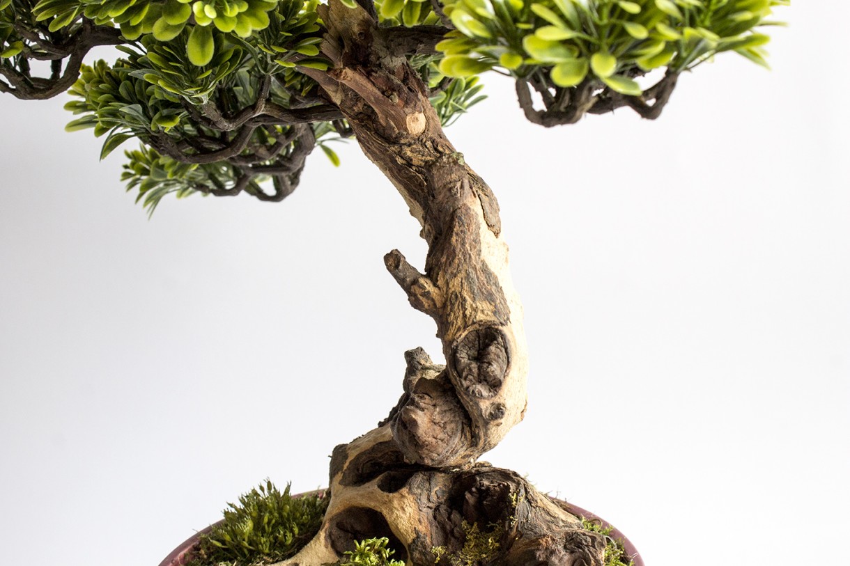 Gabinet, Sztuczne drzewko bonsai zokei - drzewko szczęścia