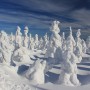 Leśne klimaty, Na odchodne....Zimy....