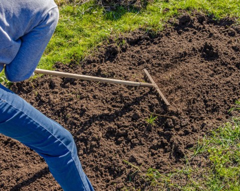 Bardzo stara metoda na użyźnienie gleby. Nic nie kosztuje, a regeneruje się w kilka tygodni