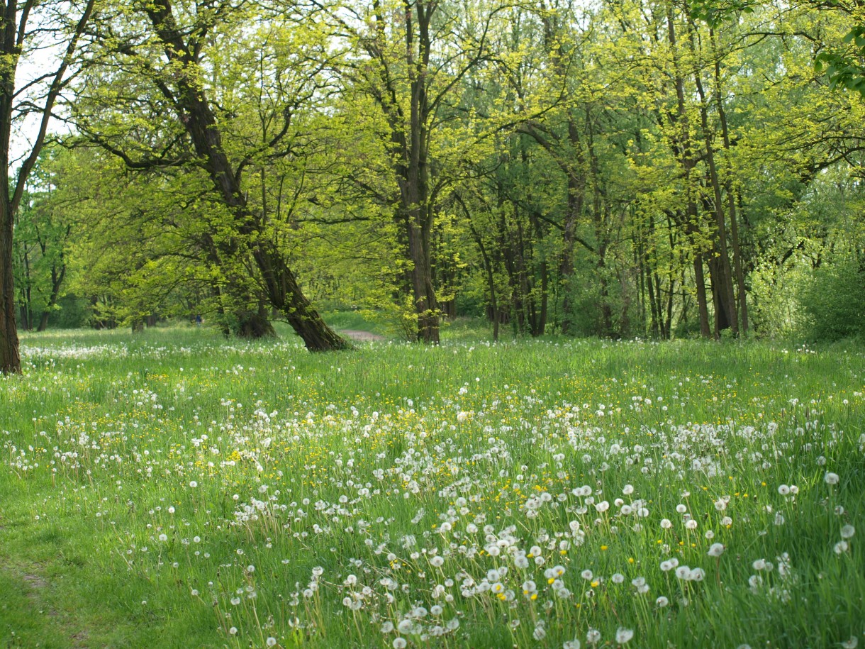 Podróże, Majowa