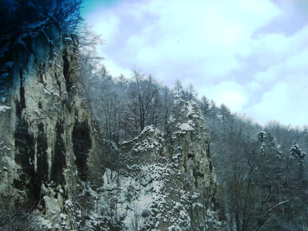 Pozostałe, PRZEZ  OJCOWSKI  PARK  NARODOWY