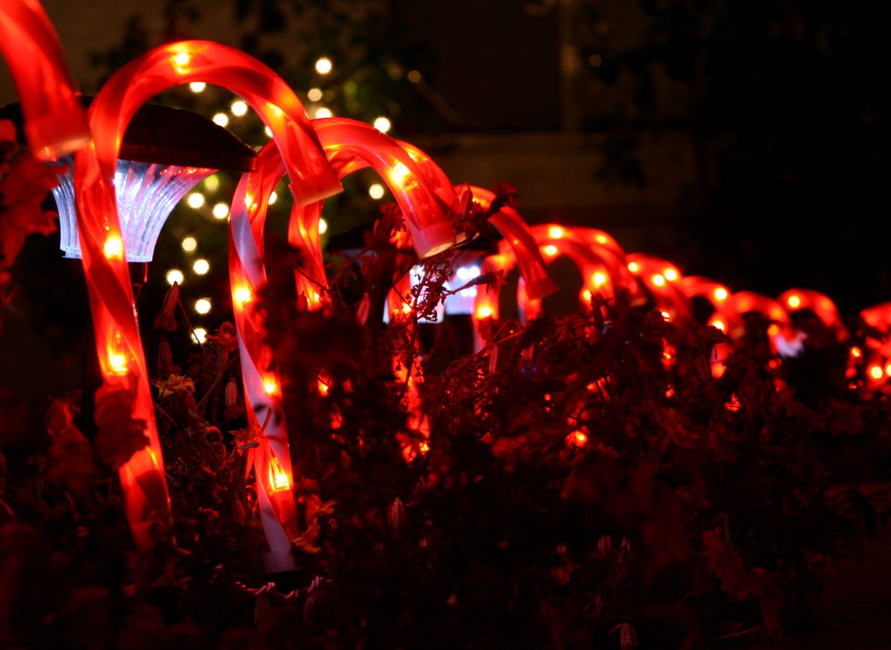  Iluminacja za grosze. Świąteczne światełka w domu i ogrodzie nie muszą być drogie