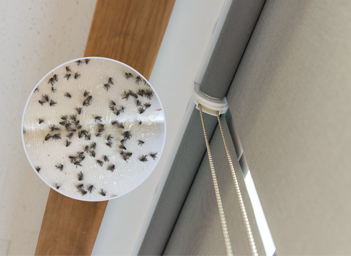 sposoby na brudne rolety