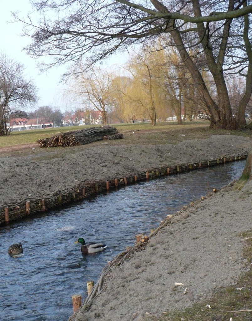 Pozostałe, Wiosennie ...........prawie świątecznie........... - .............i kaczki.............