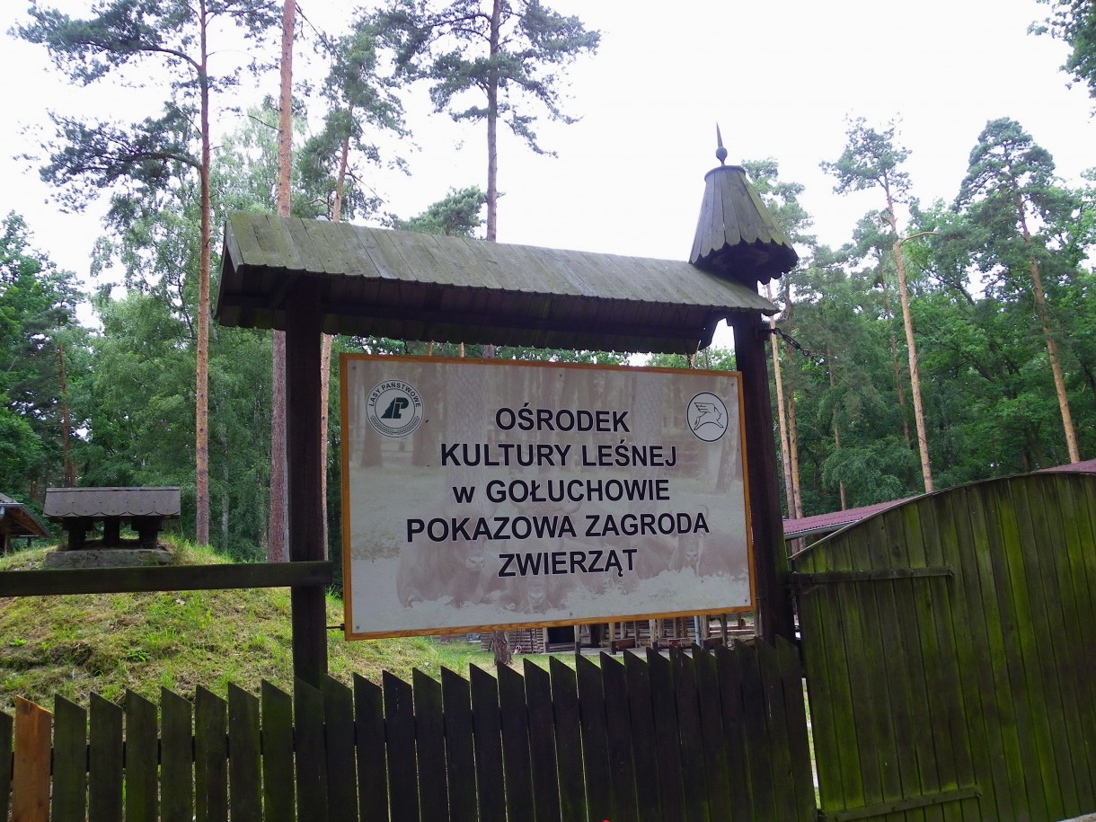 Pozostałe, Arboretum w Gołuchowie - Park i zabudowania cz 1 - Gołuchów  Zagroda dla zwierząt 