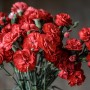 Rośliny, Znaczenie kwiatów - Goździk wyraża lojalność, troskę i przywiązanie. Dzięki niemu możemy w symboliczny sposób podziękować drugiej połówce za wspólne lata oraz zapewnić o stałości uczuć, a także podkreślić, że dana osoba jest dla nas wyjątkowa.

Fot. Pixabay