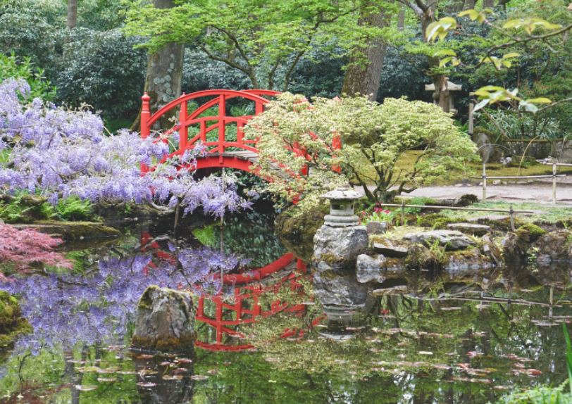 ogród japoński