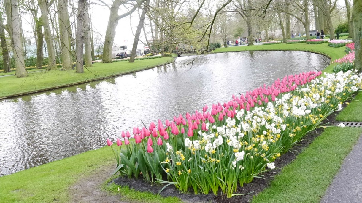 Pozostałe, Keukenhof