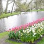 Pozostałe, Keukenhof