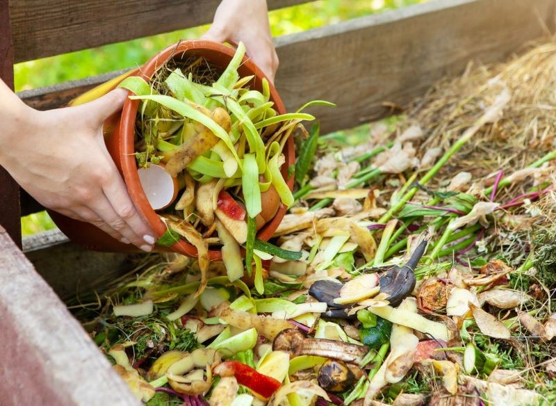 Jak kompostować resztki owoców?