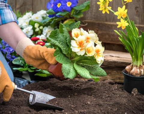Przydatne triki, które ułatwią pracę w ogrodzie