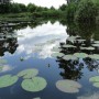 Pozostałe, Moje sekretne miejsca ... - Nad cysterskim stawem...