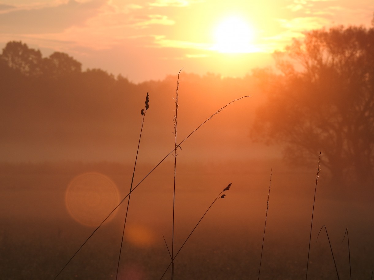 Leśne klimaty, WRZEŚNIOWY PORANEK :)