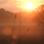 Leśne klimaty, WRZEŚNIOWY PORANEK :)