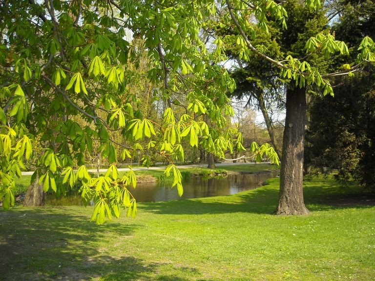 Pozostałe, Park Oliwski...........................