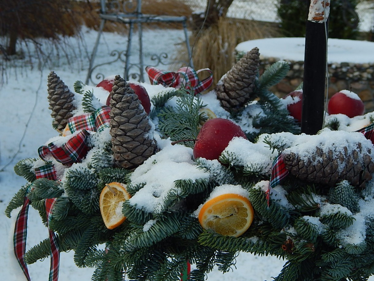 Ogród, ZIMA W OGRODZIE :)