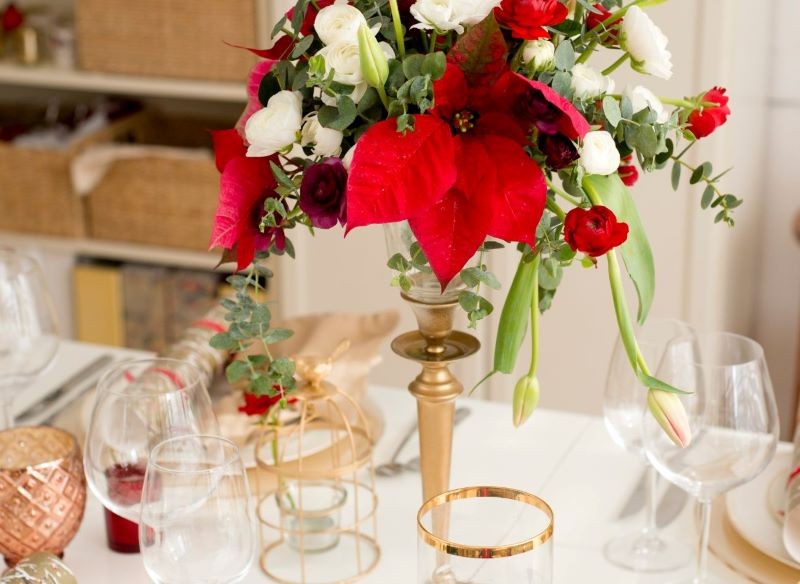 Gwiazda betlejemska wygląda zjawiskowo wśród innych kwiatów.