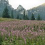 Pozostałe, Wyprawa na Bystrą i Błyszcz Tatry Zachodnie - w dolinie...