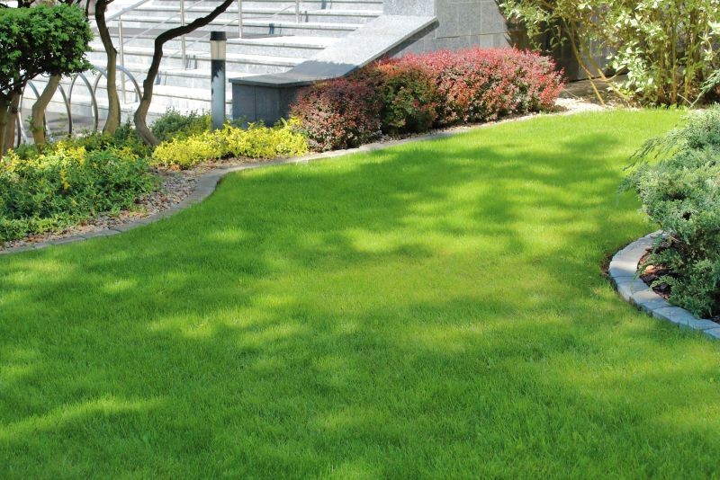 Ziemia pod trawnik nie powinna być zbyt kwaśna.