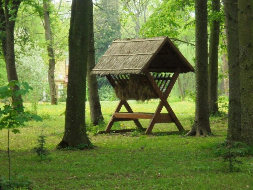 Pozostałe, PARK  ZDROJOWY  W  SOLCU - Park