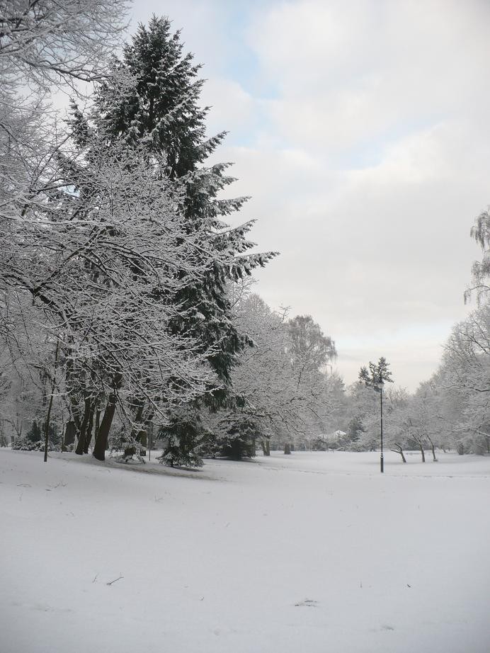 Pozostałe, Pierwsze pisanki haftowanki i zima nad morzem ................. - ...........i park nad samym morzem.............