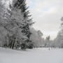 Pozostałe, Pierwsze pisanki haftowanki i zima nad morzem ................. - ...........i park nad samym morzem.............