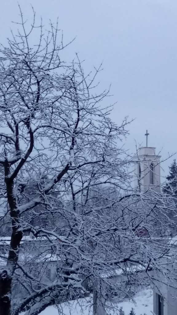 Ogród, ... i tak się trudno rozstać...