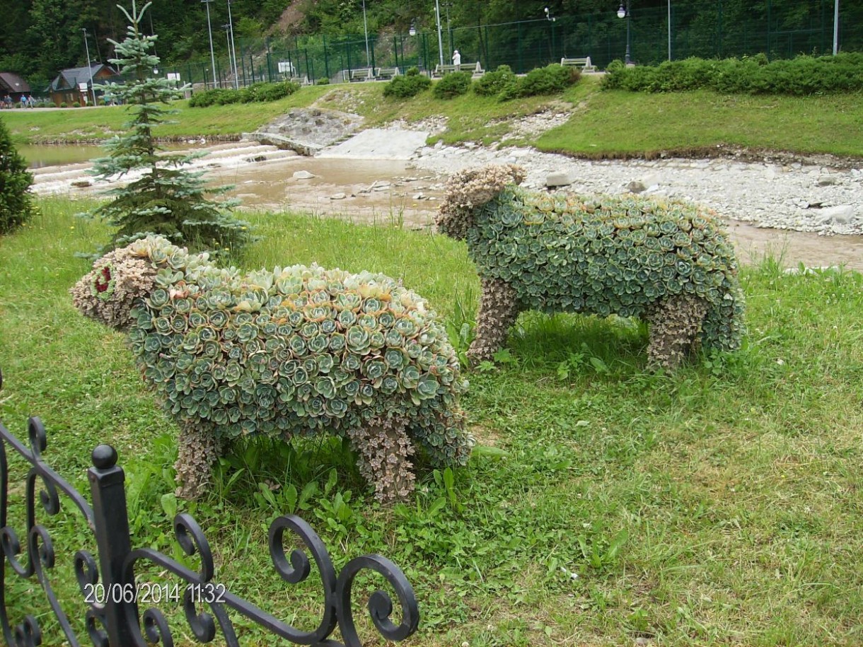 Pozostałe, SZCZAWNICA – ŻYCIODAJNY  ZDRÓJ