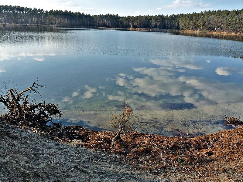 Pozostałe, Marzec u mnie - jezioro Osowiec