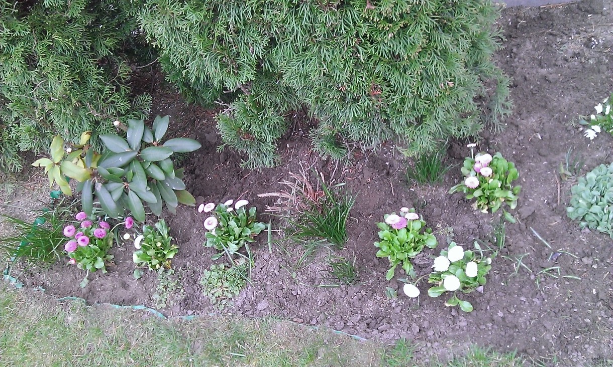 Pozostałe, Zdążyć przed pierwsza burzą w tym roku...