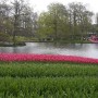 Pozostałe, Keukenhof