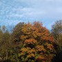 Leśne klimaty, Park jesienią