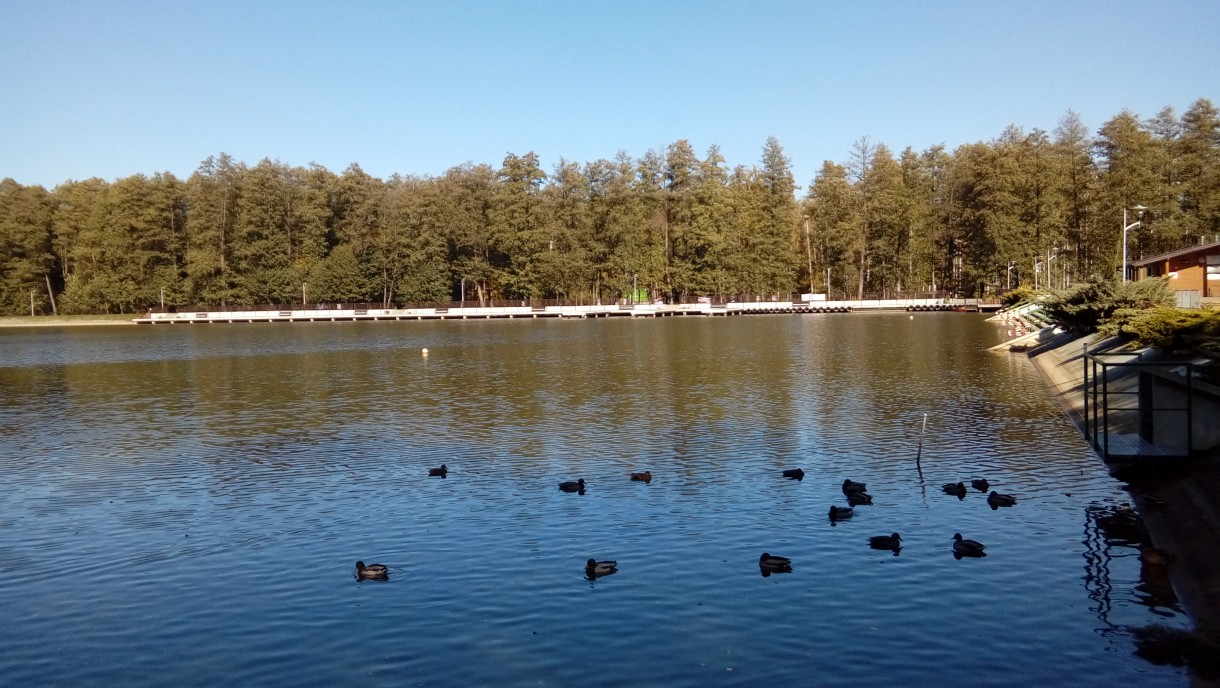 Pozostałe, Jesień. - A to osrodek wypoczynkowy - przyslowiowe 2 kroki mam do niego , dlatego tak rzadko tu bywam ;))))))