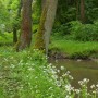 Podróże, Dolina Mnikowska, wycieczka spacerowo - wyczynowa:) - Meandry Sanki w przybrzeżnym kwieciu wręcz same toną:) 
Para zakochanych kaczek popisywała się przed turystami.