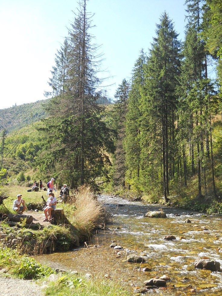 Pozostałe, Zakopane w foto - pigułce. Część piąta: Dolina Kościeliska. - Dnem kościeliskiego wąwozu płynie sobie Kościeliski Potok.