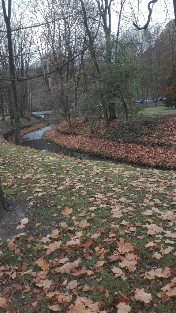 Podróże, Listopadowy park