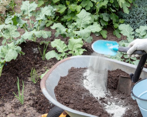 Mączka bazaltowa – zastosowanie w ogrodzie