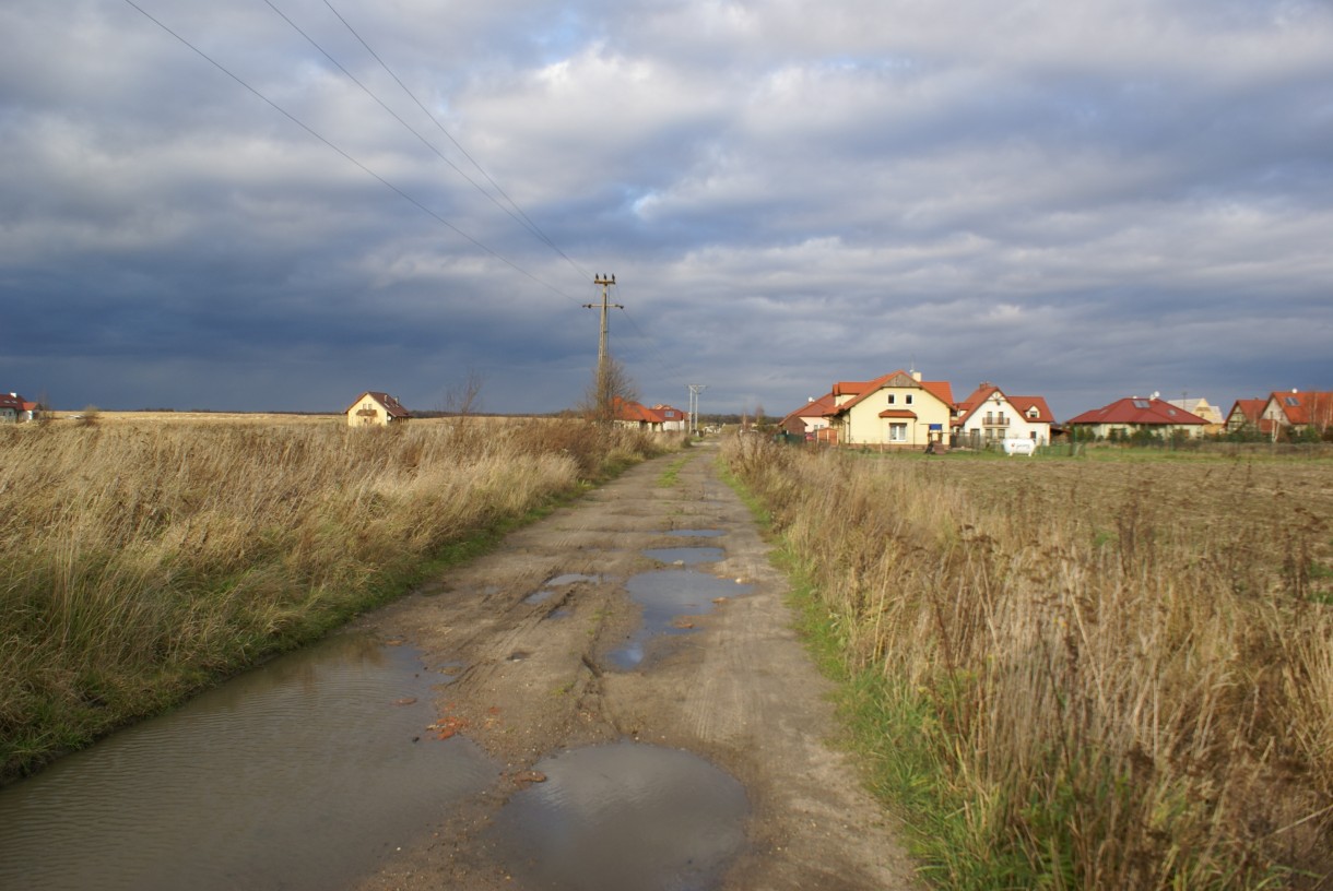 Ogród, widok z ogrodu